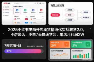 2025小红书电商开店卖货精细化实战教学2.0，不讲废话，小白7天快速学会，单店月利润2W-网创资源