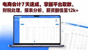 （16192期）电商会计7天速成，掌握平台取数、财税处理、报表分析，薪资翻倍至12k+-网创资源