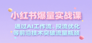 小红书爆量实战课，通过AI工作流、投流优化等前沿技术突破流量瓶颈-网创资源