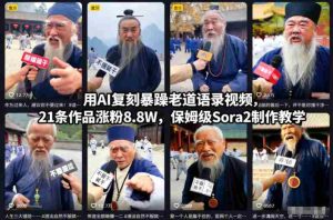 用AI复刻暴躁老道语录视频，21条作品涨粉8.8W，保姆级Sora2制作教学-网创资源