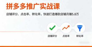 （16115期）拼多多推广实战课，店铺评分、点击率、转化率，快速打造爆款店铺月赚5.8万-网创资源