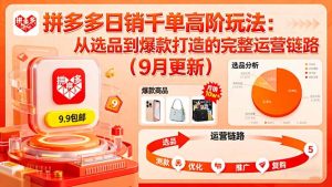 （16100期）拼多多日销千单高阶玩法：从选品到爆款打造的完整运营链路（9月更新）-网创资源