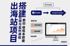 小淘出海站项目，搭建实操与盈利课程，手把手教你用极低成本搭建-网创资源