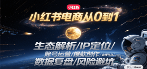 小红书电商从0到1：生态解析/IP定位/ 账号运营/爆款创作/直播带货/数据复盘/风险避坑-网创资源