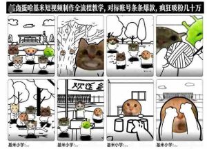 卤蛋哈基米短视频制作全流程教学，条条爆款，疯狂吸粉几十万-网创资源