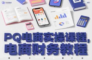 PQ电商实操课程，电商财务教程-网创资源