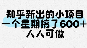 知乎新出的小项目，一个星期搞了600+，人人可做-网创资源