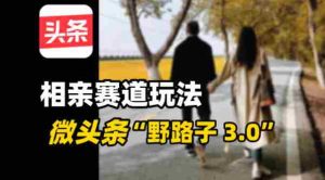 微头条“野路子3.0”相亲赛道玩法，搬砖式操作单号稳定3张-网创资源