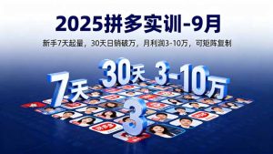 （16008期）2025拼多多实训-9月：新手7天起量,30天日销破万,月利润3-10万,可矩阵复制-网创资源