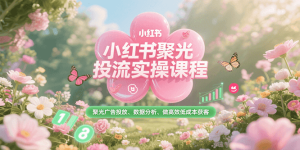 小红书聚光投流实操课程，聚光广告投放、数据分析、做高效低成本获客-网创资源
