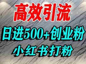 怎么打创业粉？小红书预算3000项目推荐引流精准创业粉，单人操作日引500+精准创业粉-网创资源