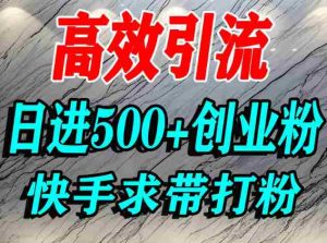 怎么打创业粉？快手求带视角精准引流创业粉，宝妈、学生群体日进500+精准流量-网创资源