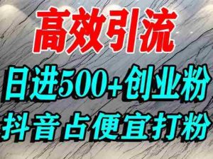 怎么打创业粉？抖音利用占便宜心理引流创业粉，单人日引500+精准流量-网创资源