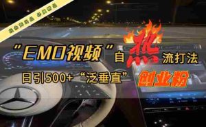 EMO自热流创业粉打法，三天起千粉号，单视频十万播放量，多账号矩阵日引精准引流500+-网创资源