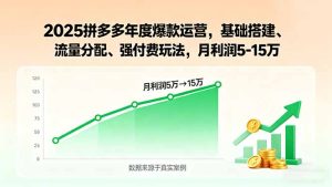 （15973期）2025拼多多年度爆款运营，基础搭建、流量分配、强付费玩法，月利润5-15万-网创资源