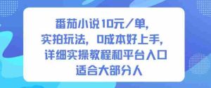 番茄小说10米每单，实拍玩法，0成本好上手，详细实操教程和平台入口适合大部分人-网创资源