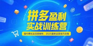 拼多多盈利实战训练营，强付费玩法深度解析，2025最新运营技巧合集-网创资源