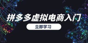 拼多多虚拟电商入门，精准选品方法论，无货源模式起盘技巧[db:副标题]-网创资源