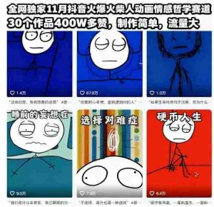 全网独家11月抖音火爆火柴人动画情感哲学赛道，30个作品400W多赞，制作简单，流量大【教学+素材】-网创资源