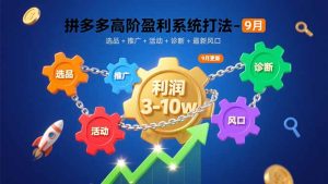 （15916期）拼多多高阶盈利系统打法-9月：选品+推广+活动+诊断+最新风口，月利润3-10w-网创资源