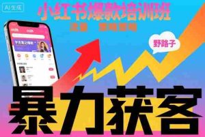 小红书爆款培训班，小红书获客野路子流量打法，暴力持续获客-网创资源