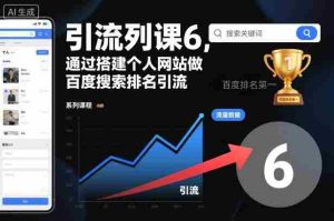 引流系列课6，通过搭建个人网站做百度搜索排名引流-网创资源
