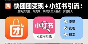 （15877期）快团团变现+小红书引流：解决没流量、难变现、缺帮卖三大痛点 实现月入3w+-网创资源