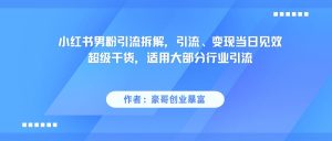 小红书男粉引流，超级干货，引流变现当日见效-网创资源
