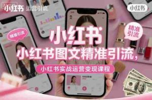 小红书图文精准引流，小红书实战运营变现课程-网创资源