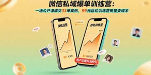 （15843期）微信私域爆单训练营：一场公开课成交33单案例，99元自动训练营批量变现术-网创资源