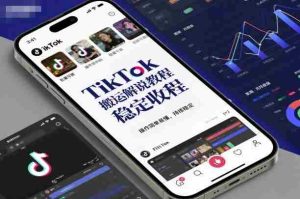 TikTok搬运解说教程，稳定收益，操作简单易懂，批量可做，持续稳定-网创资源