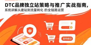 （15818期）DTC品牌独立站策略与推广实战指南，系统讲解从建站到流量转化的全链路运营-网创资源