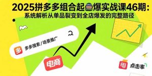 （15816期）2025拼多多组合起爆实战课46期：系统解析从单品裂变到全店爆发的完整路径-网创资源