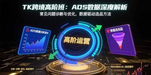 （15809期）TK跨境高阶班：ADS数据深度解析，常见问题诊断与优化，数据驱动选品方法-网创资源