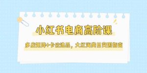 小红书电商高阶课，多店矩阵+卡位选品，大红海类目突围指南（更新5月）-网创资源
