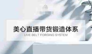直播带货锻造体系课，5G时代美心一站式帮你开启直播带货之路【音频】-网创资源