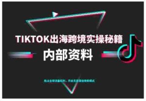 TikTok跨境电商0-1搭建运营，TK出海跨境实操秘籍（10月更新）-网创资源