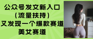 （15781期）公众号发文新入口（流量扶持），又发现一个爆款赛道：美女赛道-网创资源