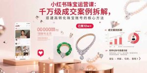 （15742期）小红书珠宝运营课：千万级成交案例拆解，搭建高转化珠宝账号的核心方法-网创资源
