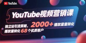 （15740期）YouTube视频营销课，独立站引流策略，2000+播放量转化68个优质客户-网创资源