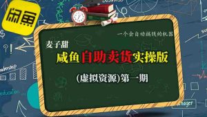 麦子甜咸鱼自助卖货实操版（虚拟资源）一个会自动搞钱的机器-网创资源