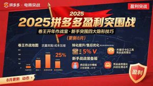 （15687期）2025拼多多盈利突围战：卷王开年作战室，新手突围四大隐形技巧(更新8月)-网创资源