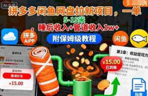 拼多多闲鱼网盘拉新项目，一单5-15米，睡后收入+管道收入1w+（附保姆级教程）-网创资源