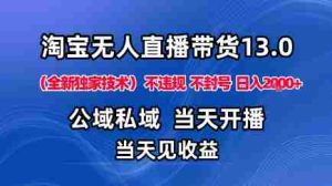 淘宝无人直播13.0，公域私域技术，不封号，不违规布局下半年旺季赛道，日入1K+（独家技术）【揭秘】-网创资源