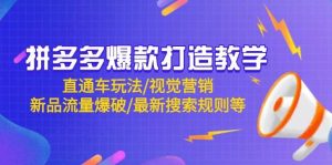 拼多多爆款打造教学：直通车玩法/视觉营销/新品流量爆破/最新搜索规则等-网创资源