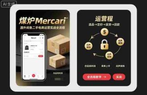 煤炉Mercari国外闲鱼二手电商运营实战全流程，仿品高利润，简单上手，闷声搞钱-网创资源