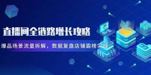 直播间全链路增长攻略，爆品场景流量拆解，数据复盘店铺霸榜实战-网创资源