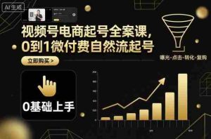 视频号电商起号全案课，0到1微付费自然流起号-网创资源