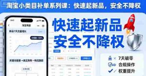 淘宝小类目补单系列课，快速起新品，安全不降权-网创资源