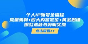 个人IP账号全流程：流量机制+四大内容定位+黄金思维, 爆款选题与剪辑实操-网创资源